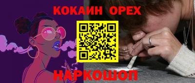 амф Кингисепп