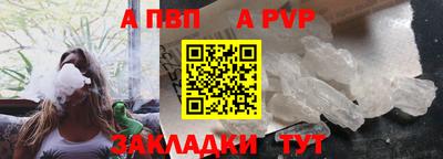 амф Кингисепп