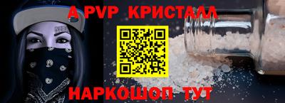 амф Кингисепп